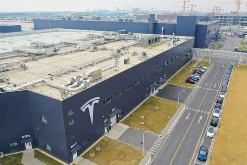 特稿 前沿產業因何集聚臨港——滴水湖畔的適宜空氣與土壤