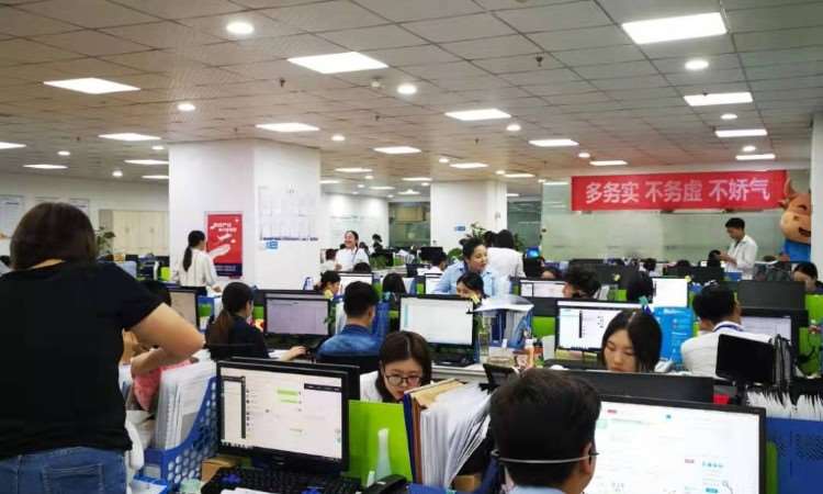 教育咨詢新標(biāo)桿 重慶憨牛教育信息咨詢的價(jià)值與實(shí)踐